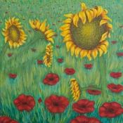 Sunflowers and poppies